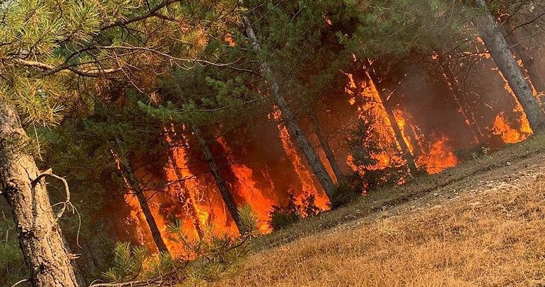 Gediz’de çıkan orman yangınında 3 hektarlık alan zarar gördü