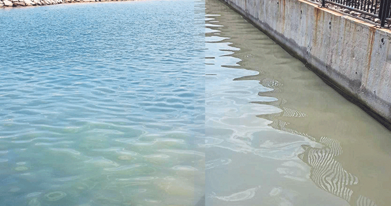 Foça’da kanalizasyon atıkları denize boşalıyor