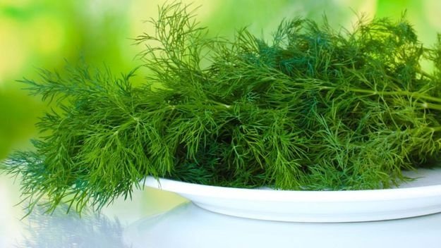 Dereotunun faydaları nelerdir? Dereotu hangi hastalıklara iyi gelir?