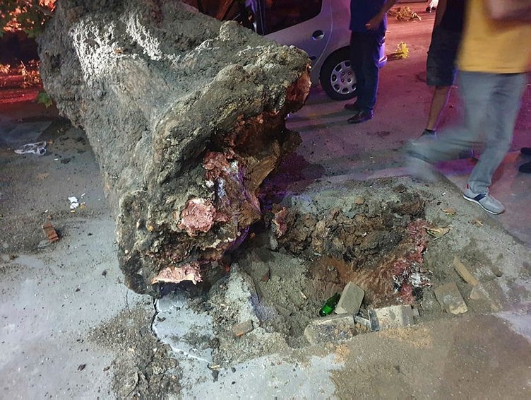 İzmir Konak’ta ağaç devrildi! 1 kişi yaralandı