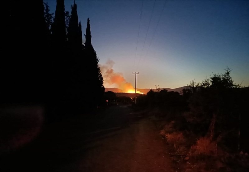 İzmir’de orman yangını! 5 saatte kontrol altına alındı