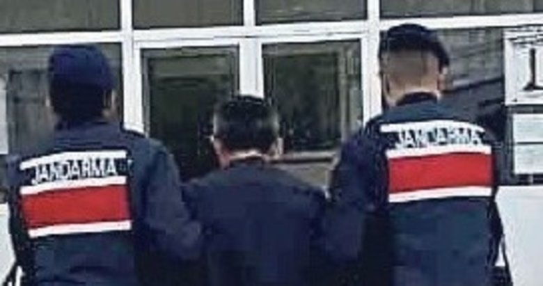 Zeytinliği zehir serasına çeviren şüpheli tutuklandı