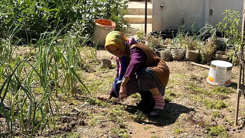 Tarlada emek yürekte sevda! Ayhan ve Emine’nin 68 yıllık aşkı...