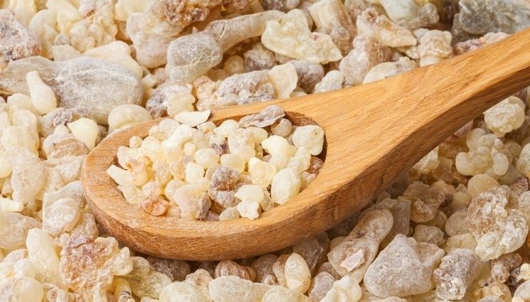 Bu besin ile 15 günde içinde 10 kiloya kadar verebilirsiniz! İşte zayıflatan mucize yöntem