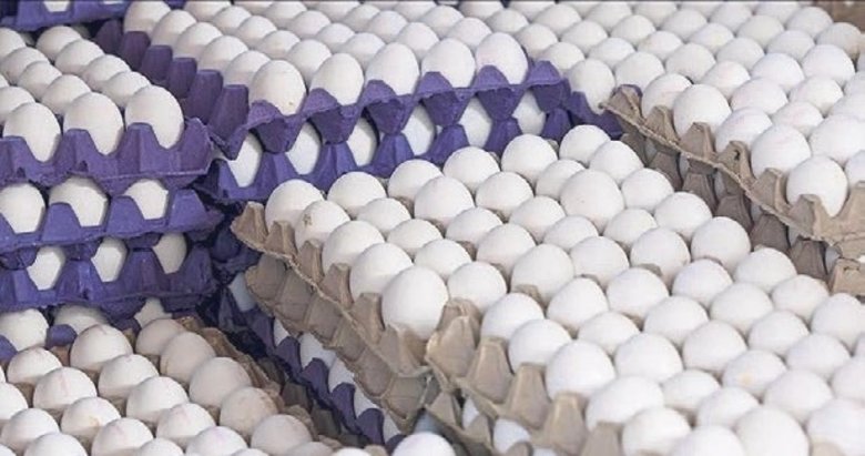 Mayıs ayında en fazla yumurtanın fiyatı düştü