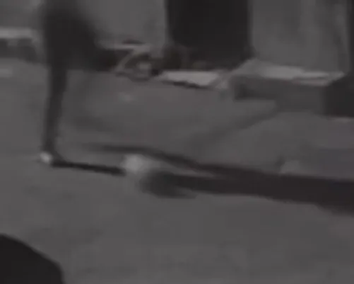 1790652565351.png