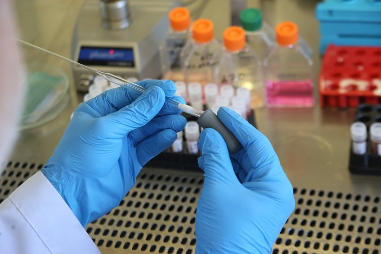 Manisa hastalık riskiyle karşı karşıya! Ölümcül olabilir