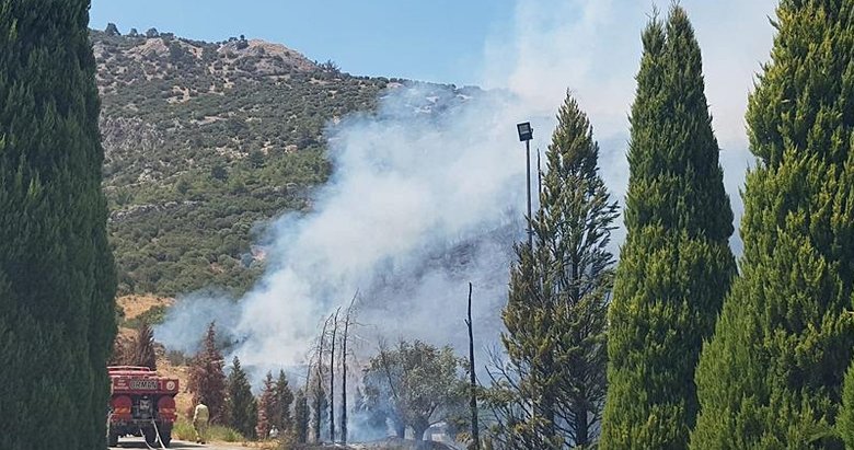 İzmir Selçuk’ta orman yangını