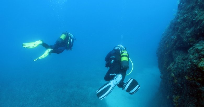 Izmir De Dalis Merkezleri Faaliyetlerine Kontrollu Basladi Izmir Haberleri