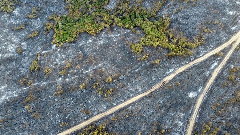 Gelibolu’da yangından geriye kalan acı tablo böyle görüntülendi! İçler acısı görüntü gün ağarınca ortaya çıktı