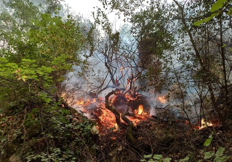 Tabiatın gizli hazinesi ‘Turgut Şelalesi’ de alevlere teslim oldu