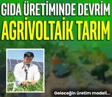 Gıda üretiminde devrim: Agrivoltaik tarım