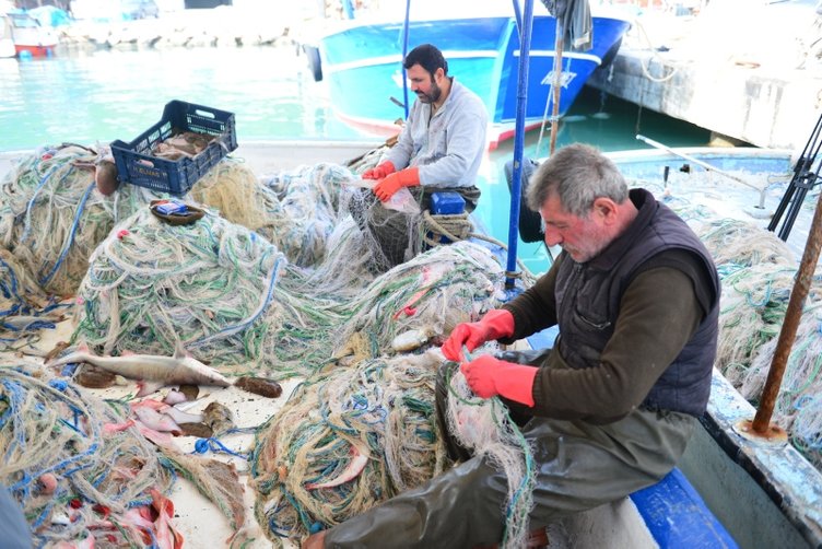 Balıkçıların yeni kabusu: İnsan yüzlü sapan balığı