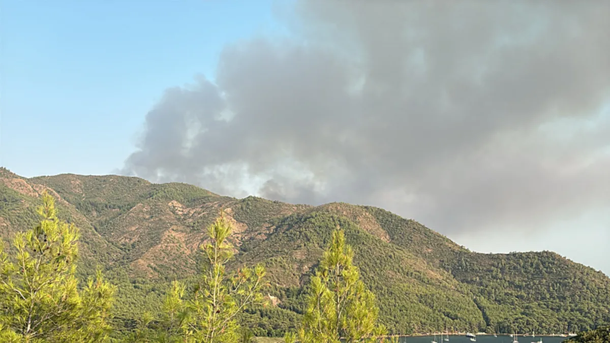 Muğla'da orman yangını! Ekipler müdahale ediyor