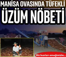 Manisa ovasında tüfekli üzüm nöbeti