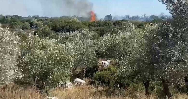 Son dakika: İzmir’de orman yangını | Havadan ve karadan müdahale