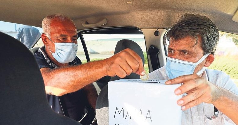 Taksideki mama kutusu ile can dostları besliyor