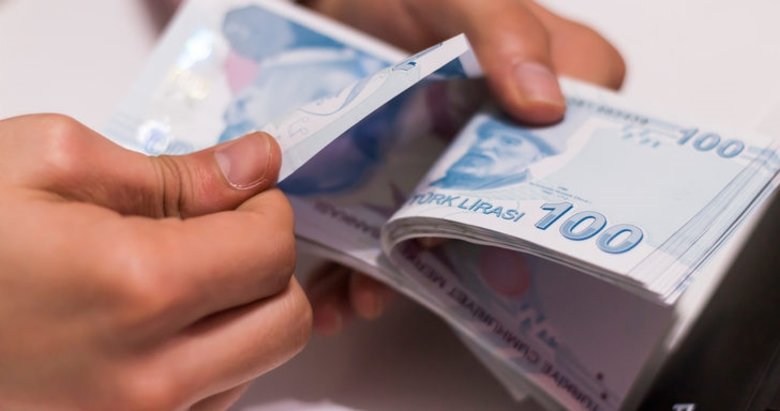 Yeni Türk Lirası banknotların zaman aşımı yıl sonunda dolacak