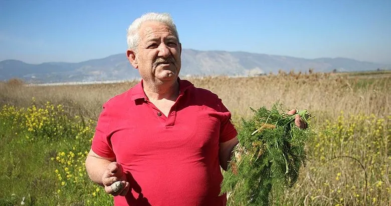 Yol kenarından topladığı otlardan para kazanıyor