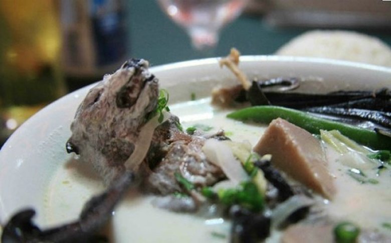 DSÖ koronavirüsün kaynağının yarasa olduğunu doğruladı