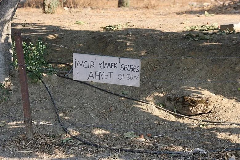 aydinda-bu-notu-goren-incir-bahcesine-kosuyor-bir-not-koca-bir-iyilik-1788699985134.jpeg