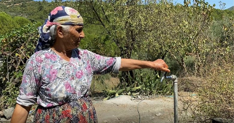 İzmirlilerin çilesi bitmiyor: İnsanlar da hayvanlar da susuz kaldı
