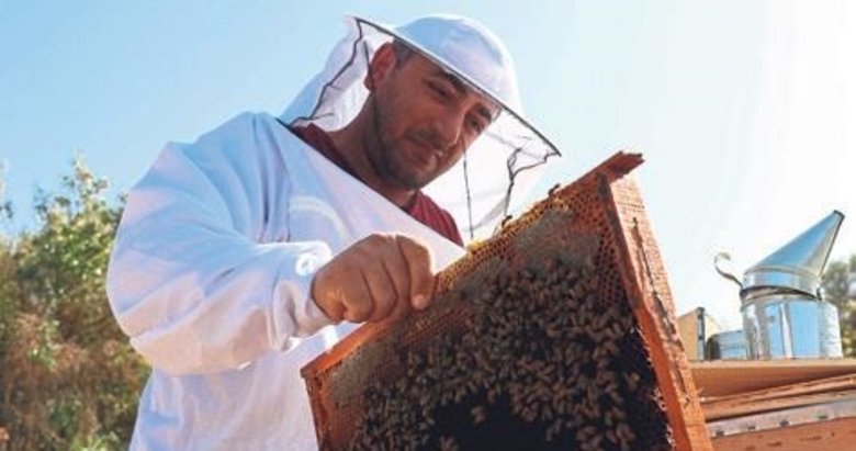 300 kovanlı arıcı 700 kişiyi yetiştirdi