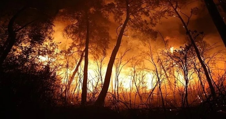 Antalya’da orman yangını: 2 otel tahliye edildi!