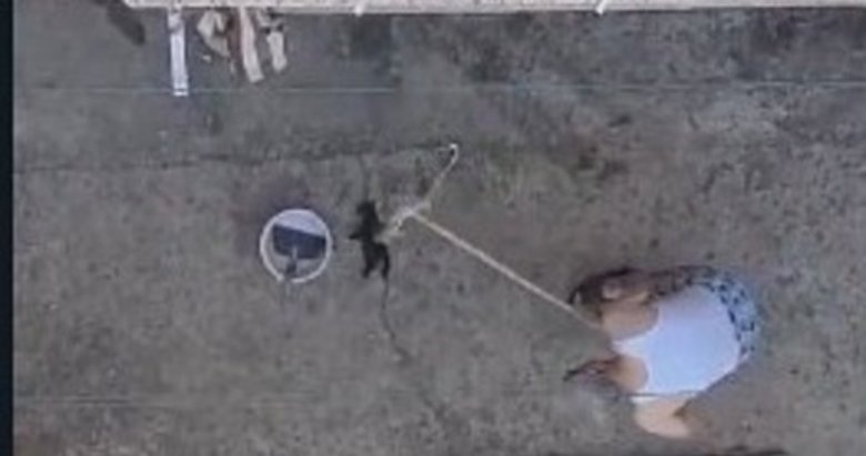 Manisa’da vahşet: 3 yavru kediyi fırça sapıyla öldürdü