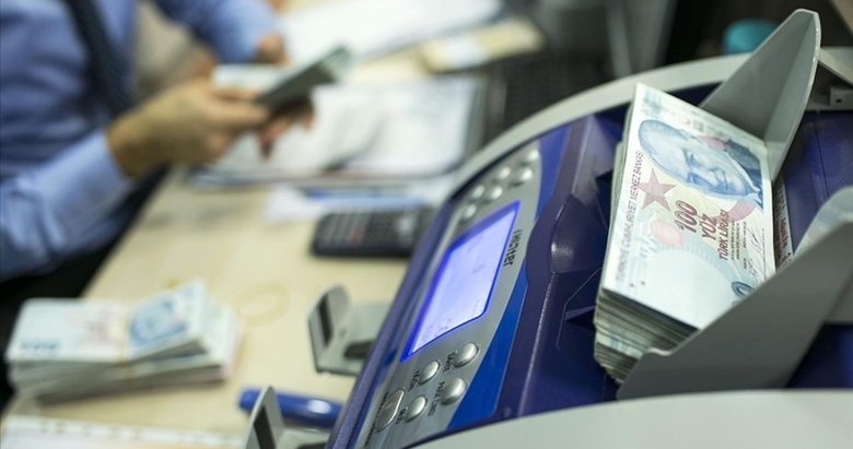 Çiftçilerin hesabına 119,1 milyon lira aktarıldı