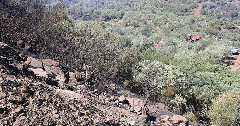 İzmir’deki yangında 200 dönüm alan küle döndü