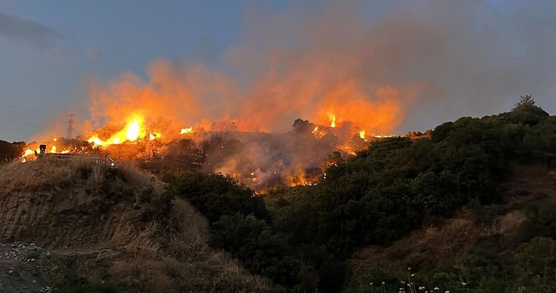 Manisa’da keneli yastığı yakıp bahçeye atan adam tutuklandı