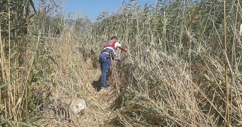 Aydın’da kayıp kişinin otomobili sazlık alanda bulundu