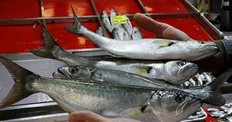 Çanakkale’de lodos nedeniyle lüferin fiyatı 200 liraya çıktı