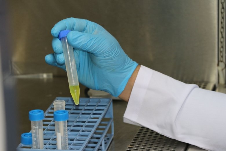 Salgından çıkışın umudu Kovid-19 aşısı için çalışmalar sonuca yaklaşıyor