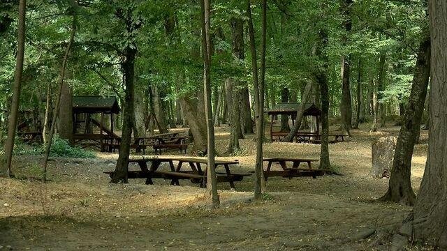 İzmir Valiliği duyurdu: 31 Ekim’e kadar yasak