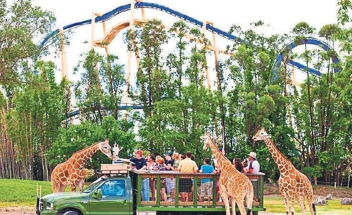 Dünyanın en eğlenceli lunaparklarına buyurun!