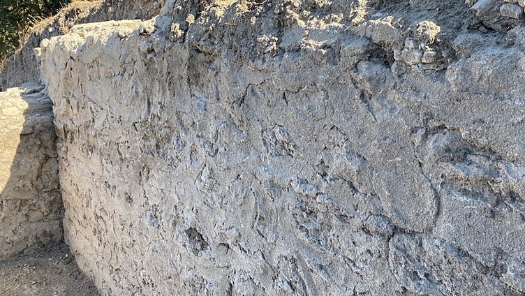 Alexandria Troas Antik Kenti’nde çarşı yapısına ait yeni mekan bulundu