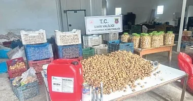 İncirleri lavabo açıcı ile beyazlatmışlar!