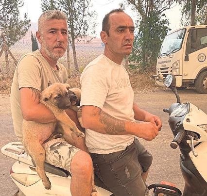 Sabotajcı yangını bu noktadan başlattı