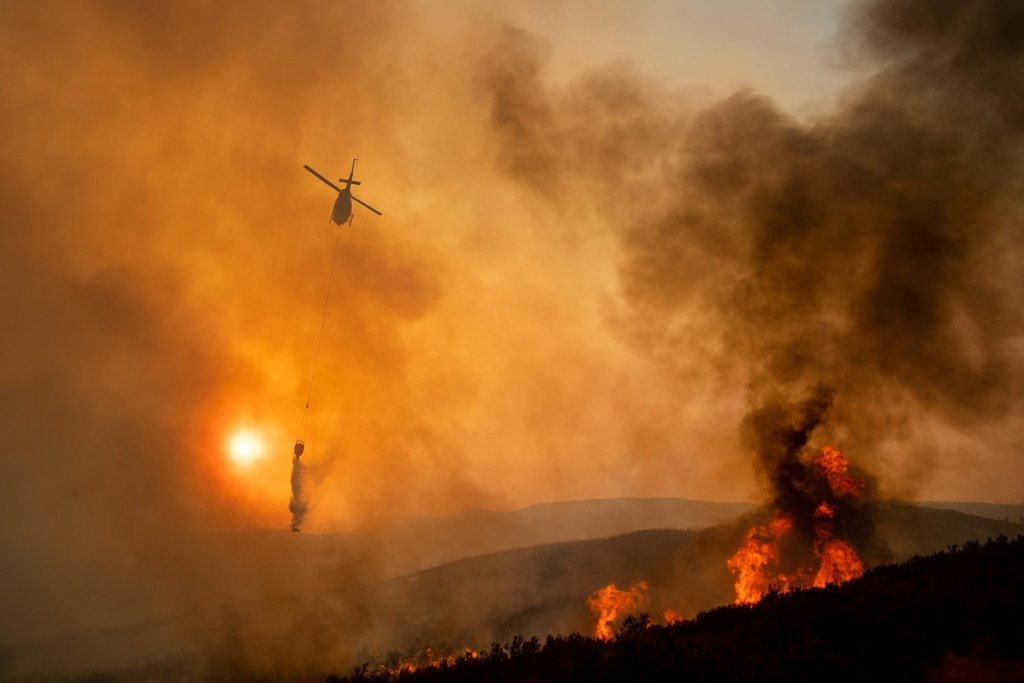 ABD’nin California eyaleti tarihinin en büyük yangınıyla mücadele ediyor