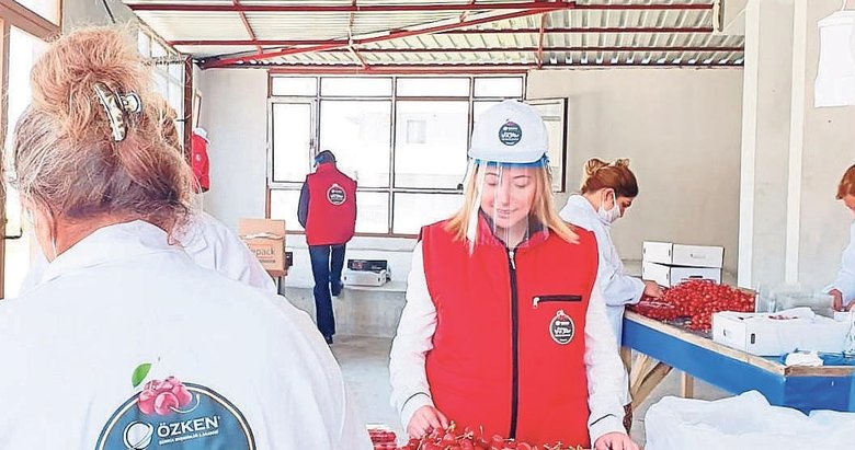 Kemalpaşa kirazına kadın damgası