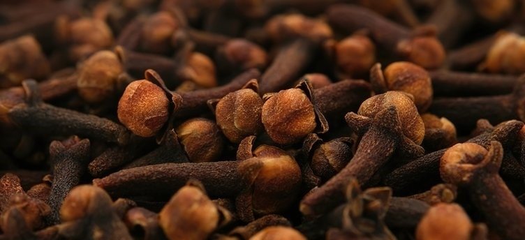 Karanfil çayının faydaları neler? Karanfil çayı neye iyi gelir?