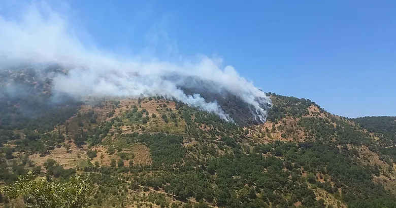 Aydın’dan kötü haber: 10 dönümlük arazi alevlere teslim oldu