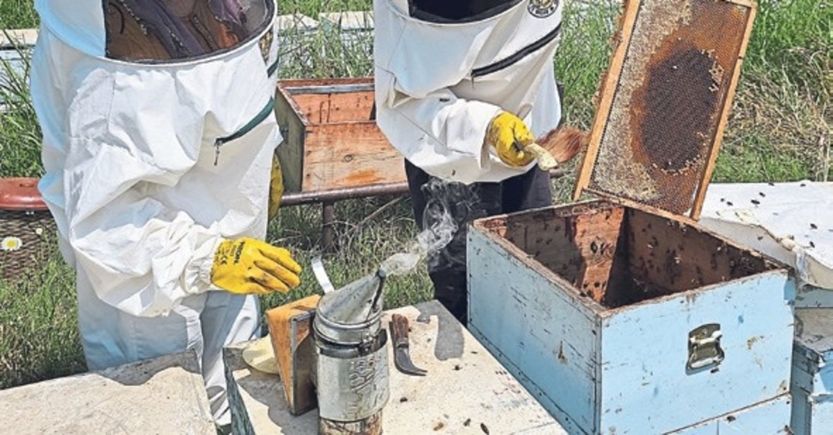 Kuyucak’tan dünyaya kovan ihracatı