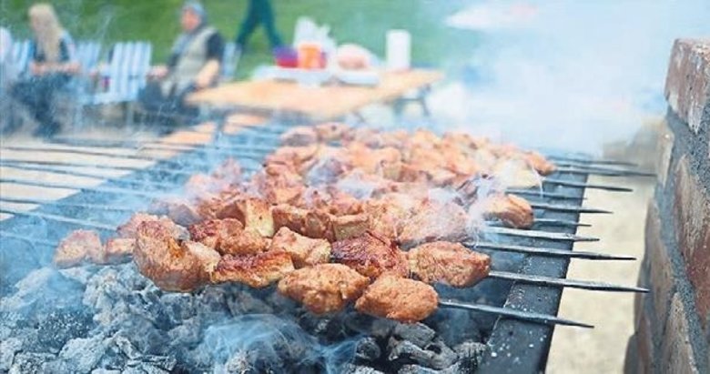 Ormanda mangal yakan 31 kişiye idari para cezası