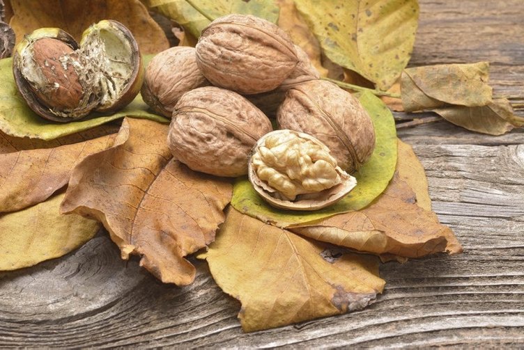 Cevizin faydaları nelerdir? Neye iyi gelir?