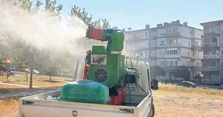 Aydın’da defin yetmedi ilaçlama da bırakıldı