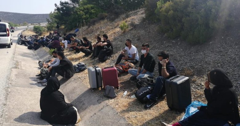 Yolcu otobüsü ve minibüste göçmen sevkiyatı jandarmaya takıldı