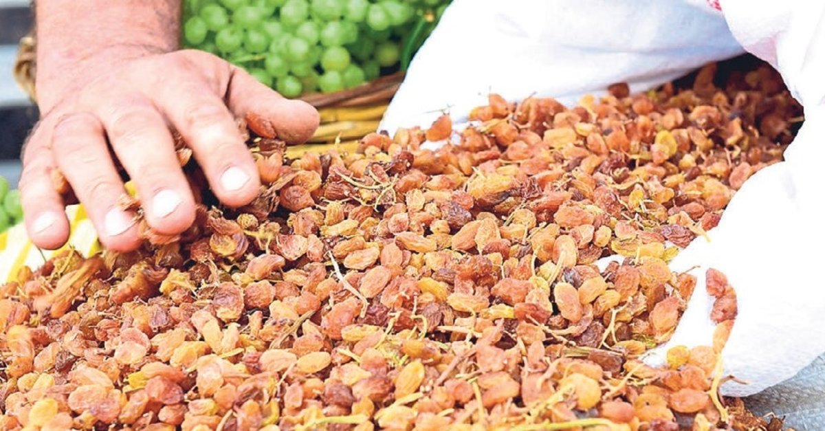 Ege’nin üzümleri dünya sofralarında